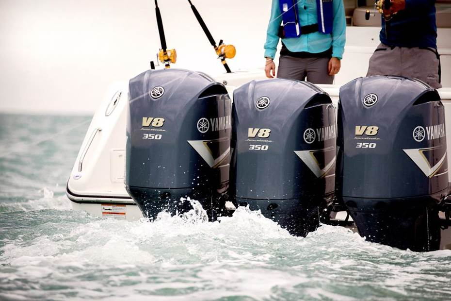 protect an outboard motor from corrosion